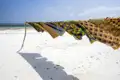 Zum Finale Ihrer individuellen Rundreise durch Kenia verbringen Sie drei Tage am Traumstrand von Diani Beach.