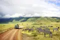 Eine Pirschfahrt im Ngorongoro-Krater gehört mit Sicherheit zu den Highlights unserer YOUNG LINE TRAVEL Reise durch Tansania.