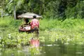 Auf unserer Marco Polo Entdeckerreise in der Mini-Gruppe unternehmen wir eine Bootstour durch die grünen Kanäle der Backwaters in Kerala.