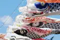 Auf unserer Rundreise durch Japan begleiten uns immer wieder im Wind flatternde Koi-Nobori, die traditionellen Windsäcke.