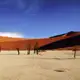 Während Ihrer Namibia-Rundreise besuchen wir das Dead Vlei und die weiteren Höhepunkte am Sossusvlei. Gut, dass unsere Lodge direkt am Eingang zum Nationalpark liegt!