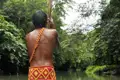 Auf Ihrer individuellen Rundreise durch Panama geht es ganz stilecht mit dem Einbaum zum indigenen Stamm der Emberá. Sie versuchen recht erfolgreich, von der Zivilisation nur das ins Dorf zu lassen, was ihnen wirklich behagt. Sie erfahren, wie das Leben in der Natur, ohne Autos und ohne Diebe, aussieht - Ihr Scout ist Dolmetscher!