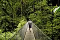 Lust auf ein luftiges Abenteuer? Auf Ihrer individuellen Rundreise durch Costa Rica eröffnet Ihnen im Monteverde-Nationalpark der Sky Walk ganz neue Perspektiven auf den Nebelwald.