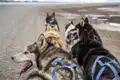 Huskies werden hier als Schlittenhunde gehalten - auf Ihrer indiividuellen Reise nach Spitzbergen  unternehmen Sie eine Tour mit ihnen.