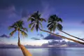 Die abgelegenen Buchten auf unserer Reise mit ihrem rosafarbenen Sand und dem kristallklaren Wasser sind ein von üppiger Vegetation umgebenes Paradies, das bisher vom Massentourismus verschont geblieben ist.