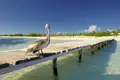 Der Sandstrand auf Ihrer Reise lädt zum Spazieren, Schwimmen und Schnorcheln ein.