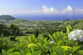 Immer wieder bieten sich uns auf der Rundreise Ausblicke auf die grüne Hügellandschaft der Azoren und dem Meer im Hintergrund, im Sommer blühen die Hortensien.