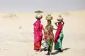Drei Personen in traditionellen bunten Saris balancieren Wasserkrüge auf ihren Köpfen, während sie durch die Wüste in Rajasthan gehen, ein authentischer Einblick in den Alltag.