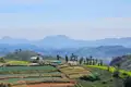 Blick über die bergige Landschaft bei Ooty mit Fokus auf einen zur Landwirtschaft genutzten Berg mit angebauten Terrassenfeldern.