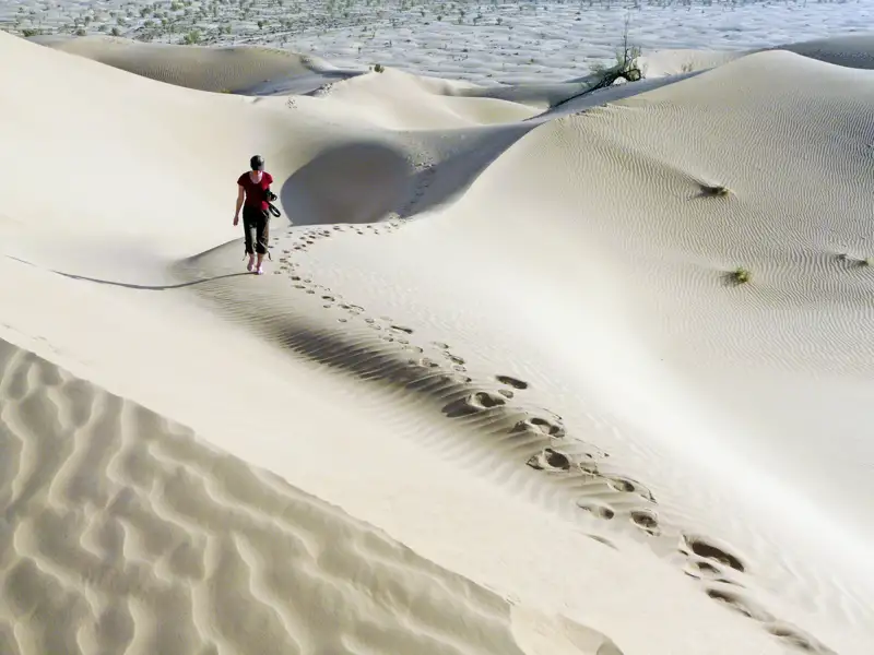 Mit Geländefahrzeugen nehmen wir Kurs auf unser Wüstencamp. Millionen Sterne werden heute unsere Nachtwächter sein. Den Stoff für Ihre Träume finden Sie, wenn Sie auf Ihre persönliche Sonnenuntergangsdüne klettern und die Natur einfach machen lassen.