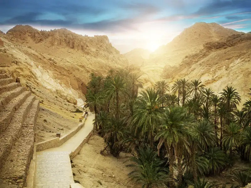 Mit Ihrem Scout sind Sie auf Ihrer individuellen Reise durch Tunesien  unterwegs in der Oase Touzeur und Douz.