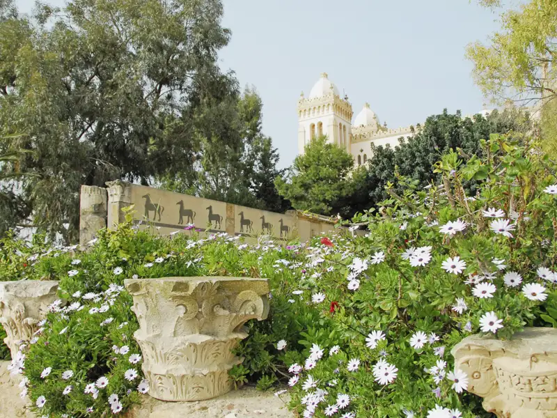 Die einst blühende Metropole der Punier Karthago besuchen Sie am zweiten Tag mit Ihrem Scout.