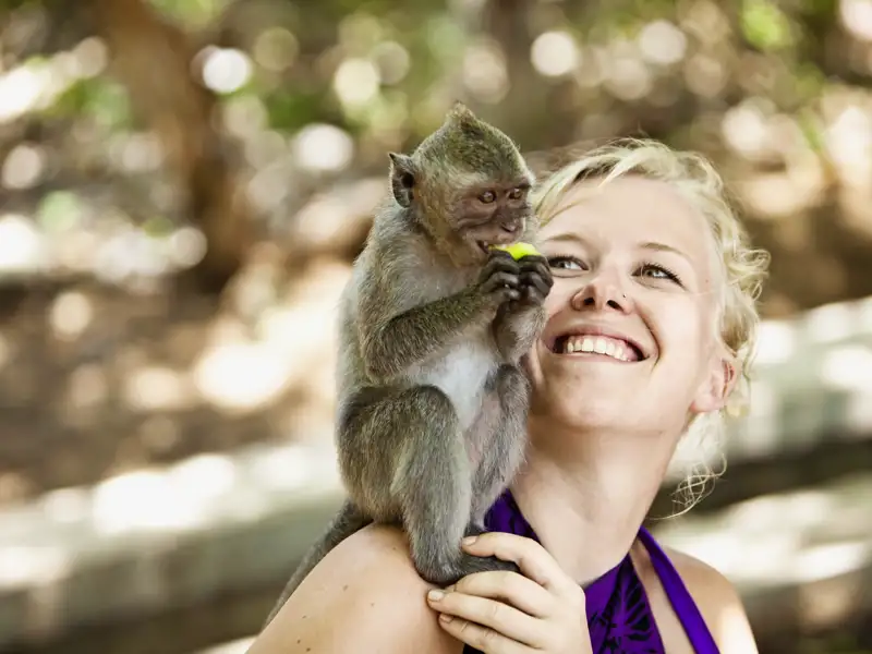 Auf Ihrer individuellen Rundreise durch Bali machen Sie an dem einen oder anderen Tempel bestimmt auch Bekanntschaft mit den Affen - aber Vorsicht, sie können ganz schön frech werden.