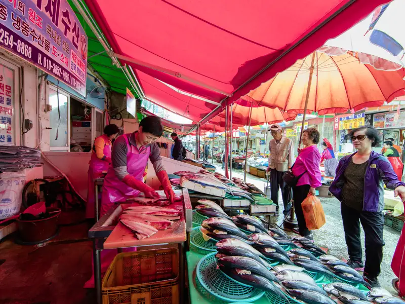 In Busan darf ein Besuch des berühmten Jagalchi-Fischmarkts nicht fehlen.