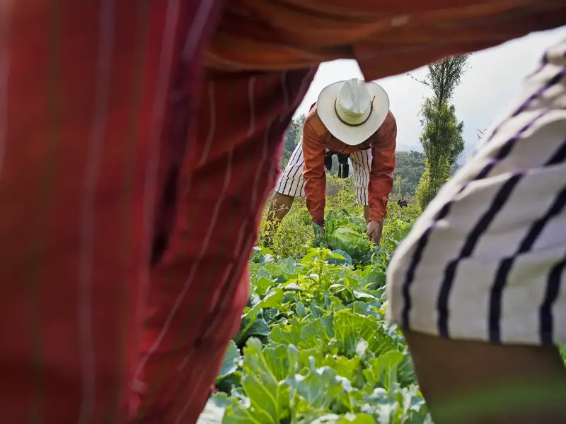 Auf Ihrer individuellen Rundreise durch Guatemala gewinnen Sie auch Einblicke in das Alltagsleben.
