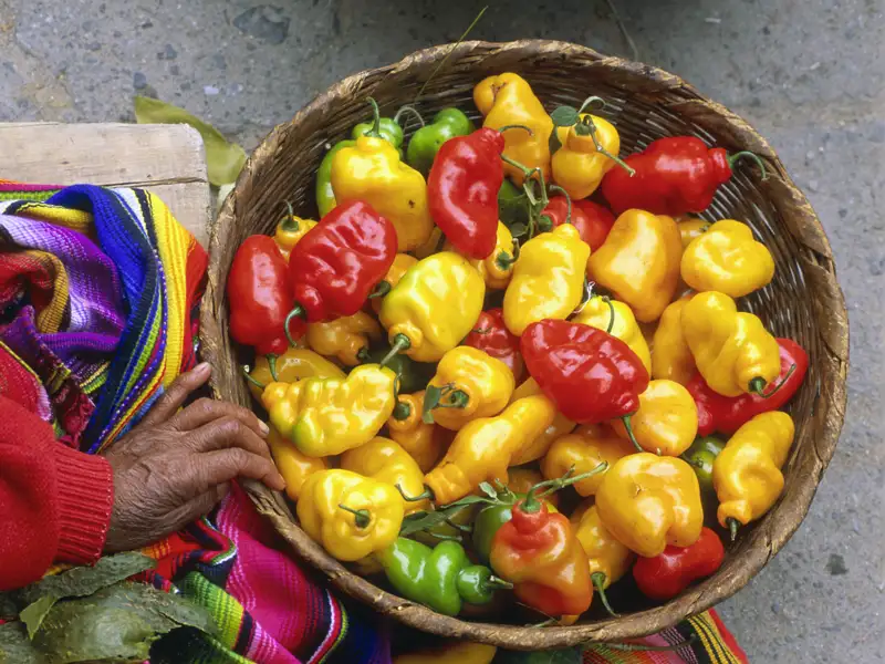 An der guatemaltekischen Landesküche führt auf Ihrer individuellen Rundreise durch Guatemala kein Weg vorbei.