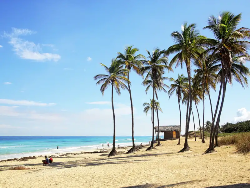 Am Ende Ihrer individuellen Rundreise durch Kuba können Sie noch einige Tage am wunderschönen Strand von Cayo Santa Maria verbringen. Ein Strand wie im Bilderbuch: feinsandig, palmengesäumt und kristallklares Wasser. Abends im Hotel gibt's fangfrischen Fisch, kühle Drinks und heiße Rhythmen zum Sonnenuntergang.