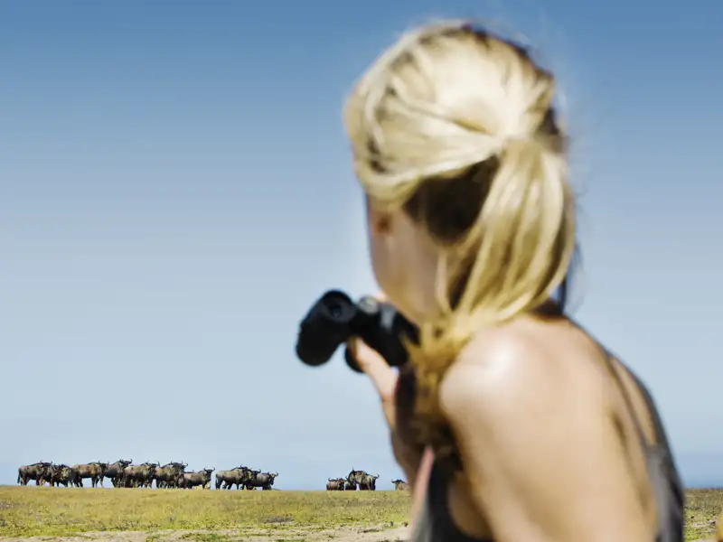 Auf dieser individuellen Reise durch Sambia besuchen Sie verschiedene Nationalparks. Das noch beinahe unentdeckte Land im Herzen Afrikas bietet vielfältige Möglichkeiten zur Tierbeobachtung.