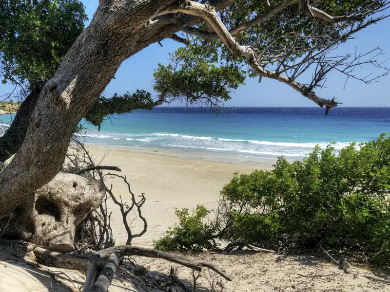Auf Naxos bleibt auf unserer Rundreise  immer wieder Zeit zum Entspannen an schönen Sandstränden.