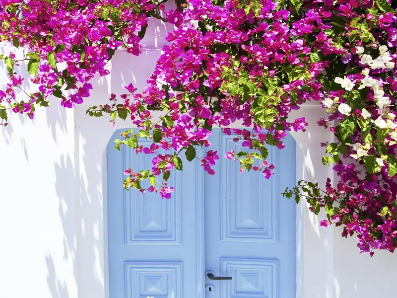 Wo weiße Häuser Tetris auf strahlendem Blau spielen und Strände mit dem türkisen Ozean um die Wette glänzen, dort befinden wir uns auf unserer YOUNG LINE Rundreise auf den Kykladen.