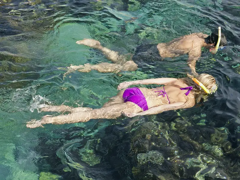 Schnorchel aufgesetzt auf der Rundreise nach Sardinien, und los geht's zu unseren Unterwasser-Entdeckungen.