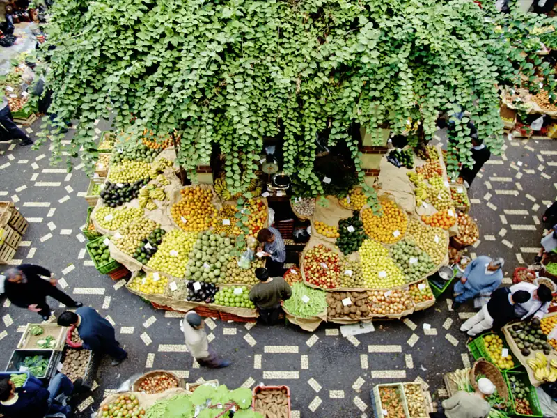 Auf unserer YOUNG LINE TRAVEL Reise für Traveller ab 35 Jahren auf Madeira sind wir begeistert vom bunten Gemüsemarkt in Funchal.