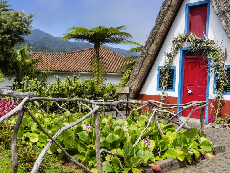 Auf unserer YOUNG LINE TRAVEL Reise für Traveller ab 35 Jahren nach Madeira besuchen wir auch das Dorf Santana. Dort stehen wunderliche bunte Häuschen, deren Strohdächer fast den Boden berühren.