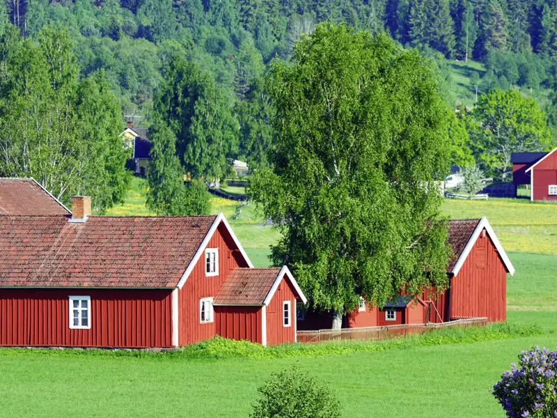 Auf unserer Rundreise durch Schweden besuchen wir auch die Provinz Smaaland, die Heimat der berühmten rostrot getünchten Holzhäuser.