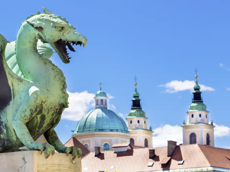 Fauchend begrüßt uns der Drache in Ljubljana, wenn wir auf unserer YOUNG LINE Rundreise durch Slowenien hier Station machen.