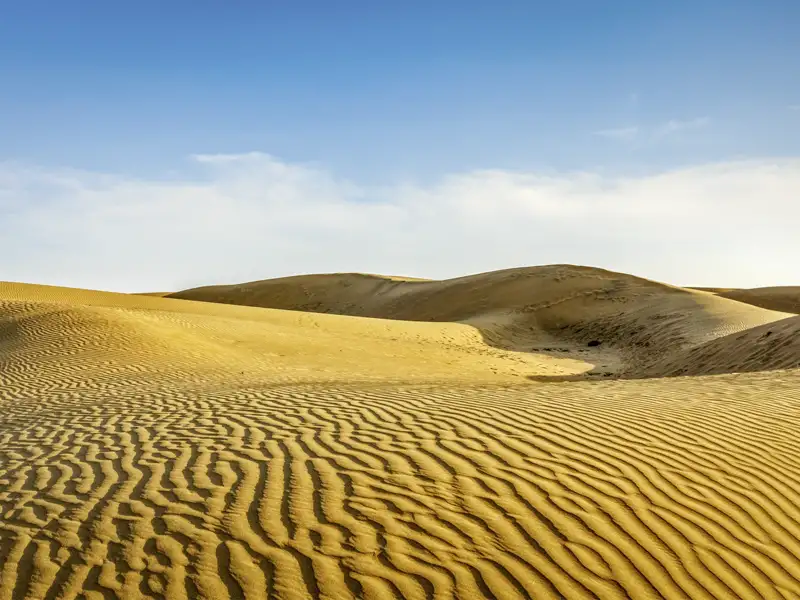 Auf unserer YOUNG LINE Rundreise durch Rajasthan unternehmen wir eine aufregende Jeep-Safari durch die Sanddünen der Wüste Thar.