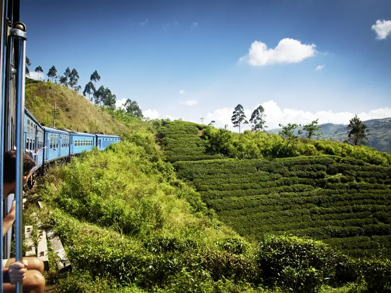 Auf unserer YOUNG LINE Rundreise durch Sri Lanka steigen wir auch mal auf den Zug um und fahren durch üppig grüne Teeplantagen.