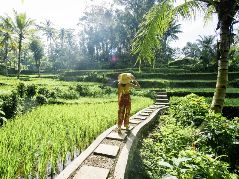 Auf dieser YOUNG LINE Reise nach Indonesien erkunden junge Traveller in der Gruppe die Reisterrassen von Bali.