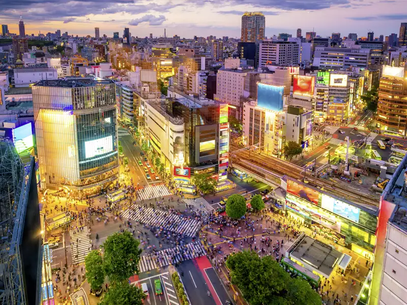 In Tokio stürzen wir uns ins Getümmel und überqueren natürlich auch die legendäre Shibuya Crossing