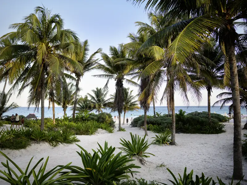 Am Ende unserer Rundreise durch Mexiko erwartet uns Erholung am Strand von Tulum - der perfekte Ausklang!