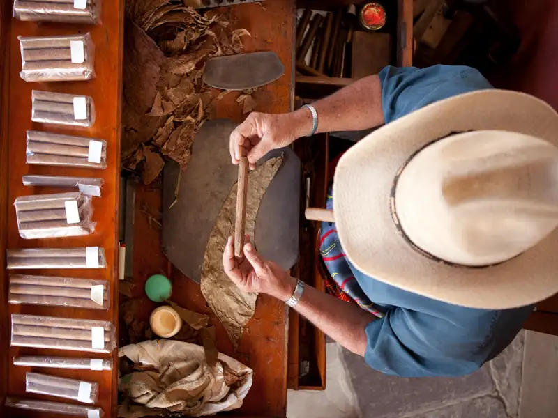 Auf unserer YOUNG LINE TRAVEL Rundreise durch Kuba wandern wir durch das grüne Tal von Vinales, wo laut Kubanern der beste Tabak der Welt gedeiht, und schauen einem Tabakbauern über die Schulter.
