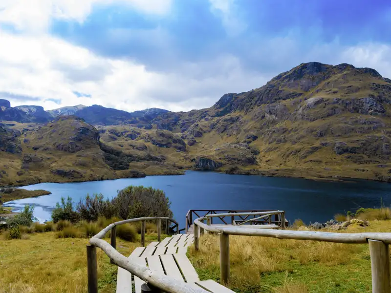 Auf dieser YOUNG LINE Reise für junge Traveller ab 35 wandern wir im Cajas-Nationalpark zur Lagune La Toreadora.