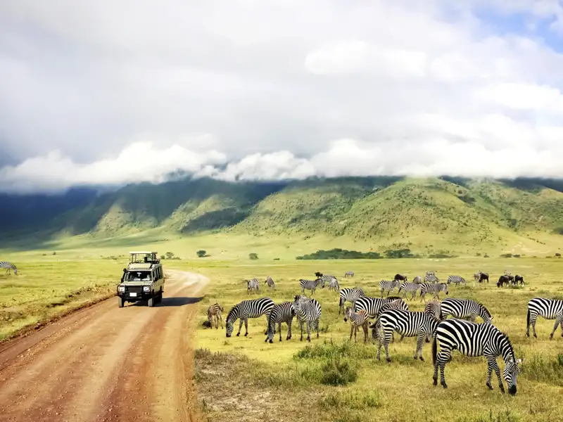 Eine Pirschfahrt im Ngorongoro-Krater gehört mit Sicherheit zu den Highlights unserer YOUNG LINE TRAVEL Reise durch Tansania.