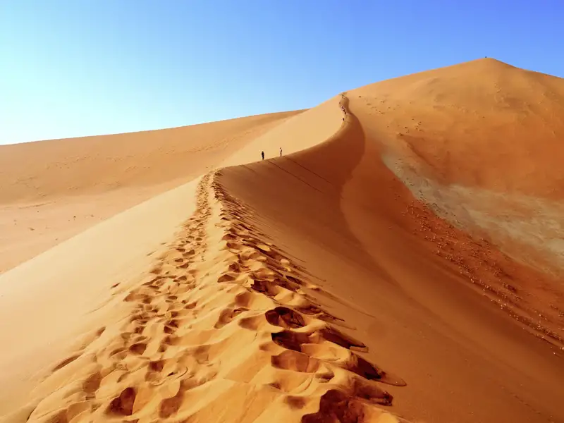 Der Tag beginnt früh, denn wir haben viel vor: Auf unserer YOUNG LINE TRAVEL Rundreise durch Namibia besteigen wir erst eine Düne zum Sonnenaufgang und dann auch noch die höchste Düne, den Big Daddy!