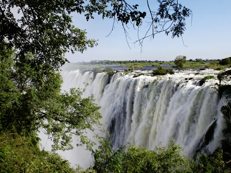 Zwei Wochen lang erkunden wir auf unserer YOUNG LINE TRAVEL Runrdreise für Traveller ab 35 die Naturschönheiten Botswanas und Namibias. Die Viktoriafälle an der Grenze von Zimbabwe und Zambia gehören zu den eindrucksvollsten Naturschauspielen der Welt.
