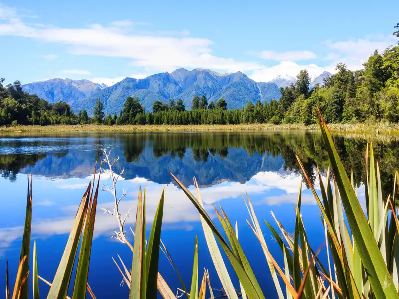 Der Fox Glacier gehört auf einer Reise nach Neuseeland einfach dazu. Glasklar, dass auch wir auf unserer YOUNG LINE Reise uns nicht entgehen lassen, wie sich die Berge im Lake Matheson spiegeln.