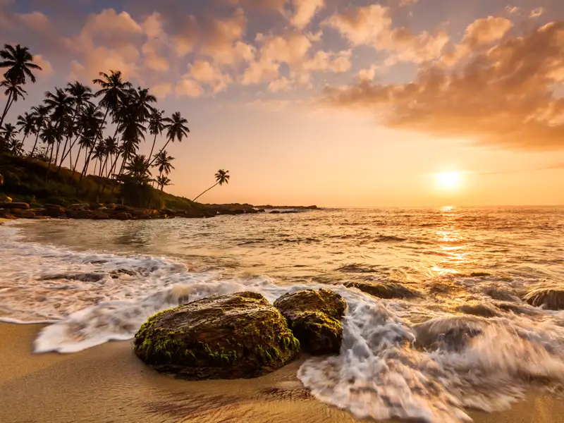 Ein relaxter Abend am Meer darf auf unserer Reise durch Sri Lanka nicht fehlen.