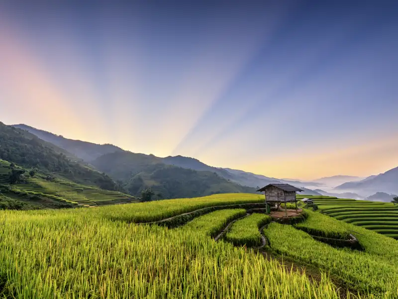 Auf unserer Marco Polo Reise in der Mini-Gruppe durch Indonesien verzaubert uns Bali mit sattgrünen Reisfeldern