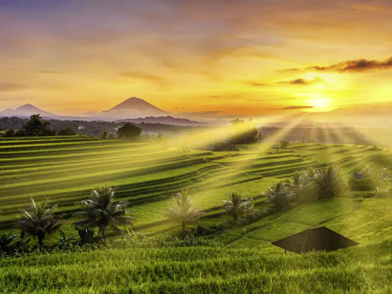 Bei Ihrer Marco Polo Reise in der Mini-Gruppe durch Bali können Sie sich nicht sattsehen an Reisterrassen, Vulkangipfeln und Sonnenuntergängen.