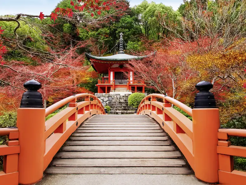 Auf dieser Rundreise durch Japan mit Marco Polo erleben Sie immer wieder Momente der Stille in Tempeln und Gärten.