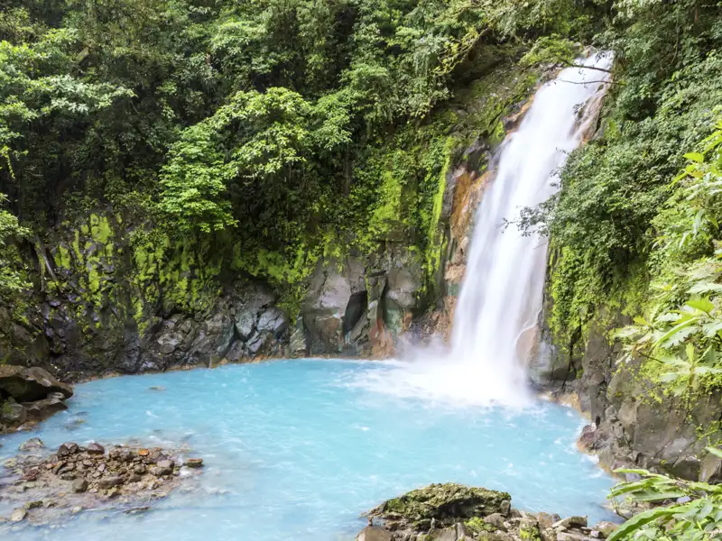 Auf einer Wanderung im Nationalpark Vulkan Tenorio mit unserem Marco Polo Scout erleben wir ein faszinierendes Farbenspiel: türkisblau der Río Celeste, sattgrün die Landschaft, nebelgrau die Fumarolen im Wald und schneeweiß die Gischt des Wasserfalls.