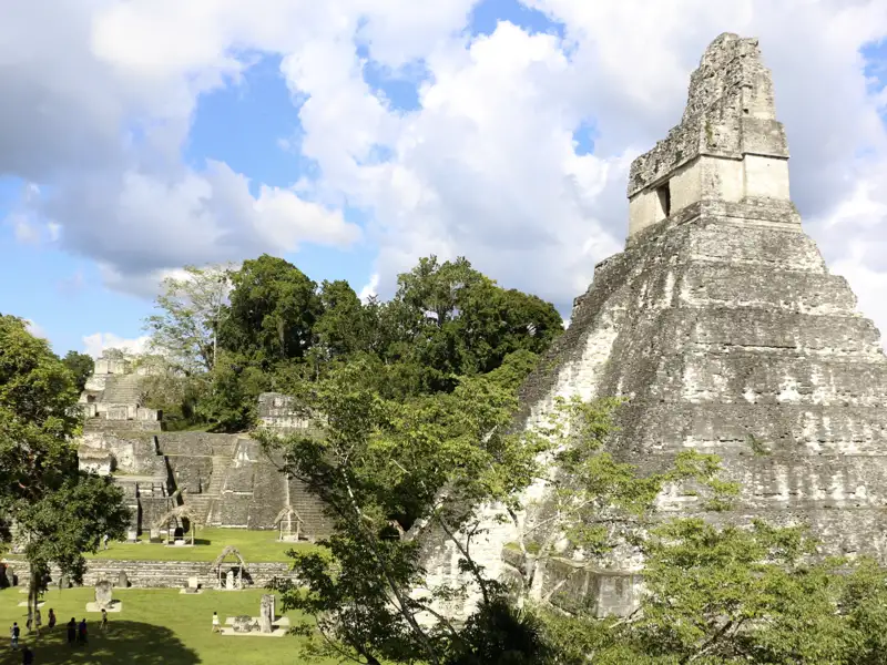 Im dichten tropischen Regenwald entdecken wir auf unserer Reise mit Marco Polo nach Guatemala und El Salvador die faszinierende Mayastadt Tikal. Pünktlich zum Sonnenaufgang sitzen wir auf Tempel IV über dem dampfenden Blätterdach.