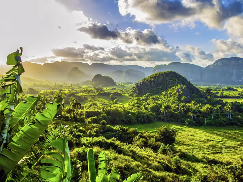 Eine Station der Marco Polo-Reise in der Mini-Gruppe durch Kuba ist das Tal von Vinales mit spektakulären Kalksteinfelsen, grünen Tabakfeldern und traditionellen Bauernhäusern. Wie bei Freunden wohnen wir in den Casas Particulares genannten Privatpensionen.
