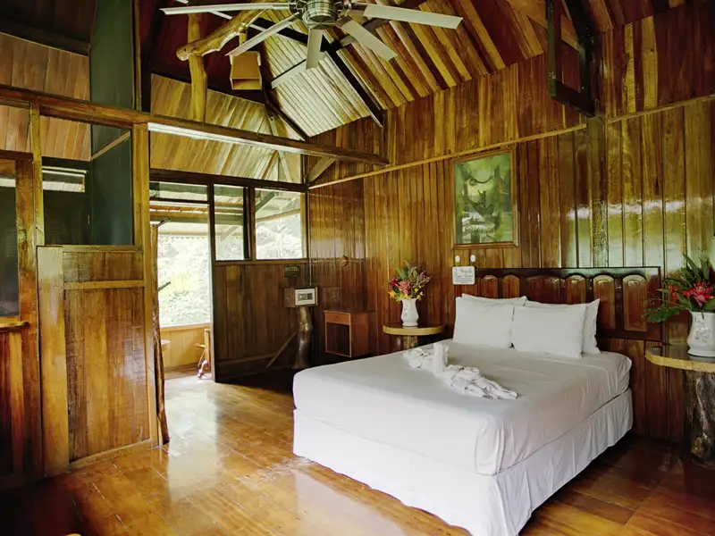 Drei Nächte verbringen wir auf unserer Rundreise mitten im Regenwald, in der EcoAmazonia Lodge.