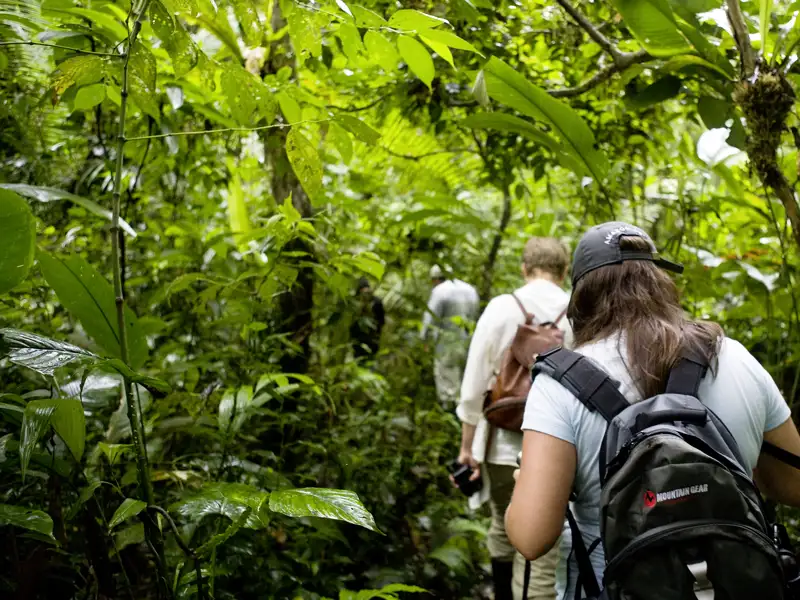Der größte Teil Perus liegt im Amazonas-Tiefland; auf unserer Rundreise entdecken wir auch die Geheimnisse des Dschungels.