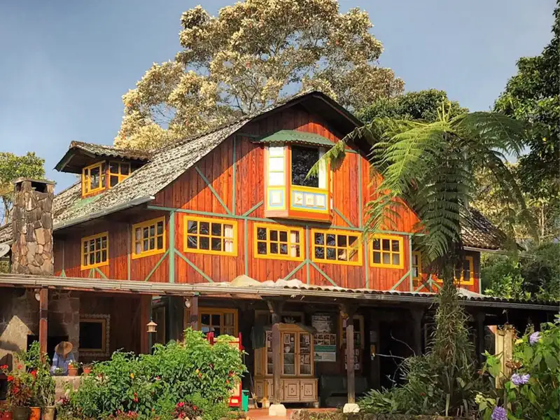 Auf unserer Ecuador-Reise in der Mini-Gruppe ist die charmante Sachatamia Lodge, gelegen in einem 120 Hektar großen privaten Nebelwald-Reservat, der ideale Ausgangspunkt für unser Bird-Watching am frühen Morgen – Naturerlebnis und Artenvielfalt inklusive.